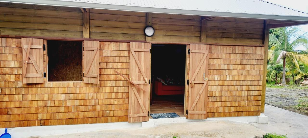 Maison Le Bois Joli Coeur Saint Benoit Ngoại thất bức ảnh